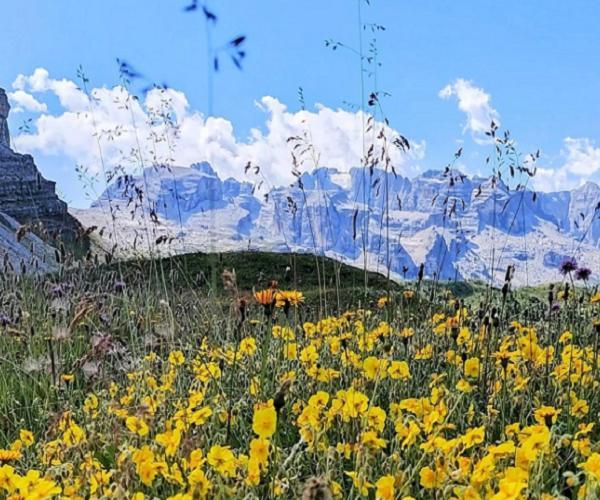 Hotel Fantelli Folgarida Dış mekan fotoğraf